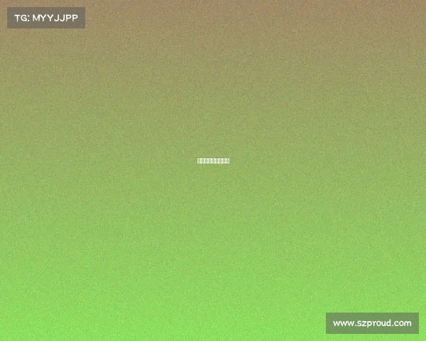 高清沈阳站比赛视频